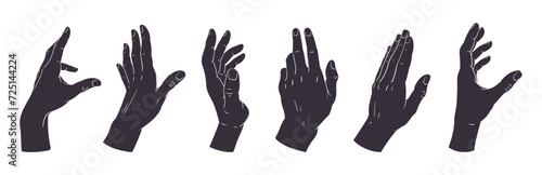 Hand palms gesture silhouettes. Human hands signs, peace, okay, call position flat vector illustration set. Gestures black silhouettes photo