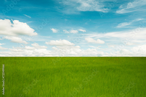 Green field and blue sky and cloud background.