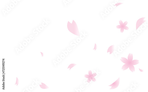 舞うグラデーションの桜の花びらベクターイラスト 