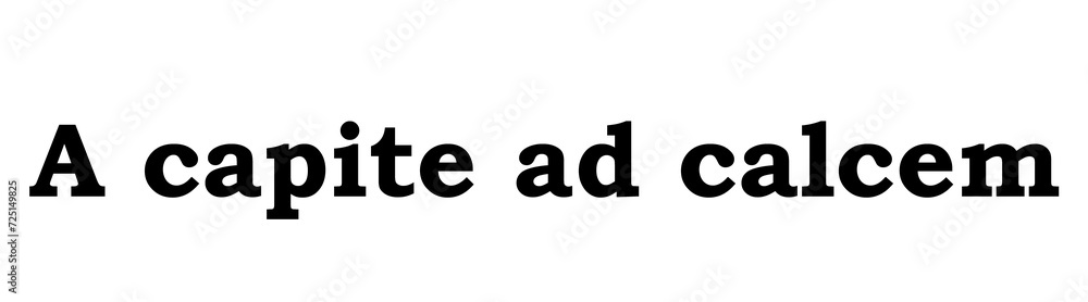 A capite ad calcem. Latin phrase A capite ad calcem. Latin phrase
