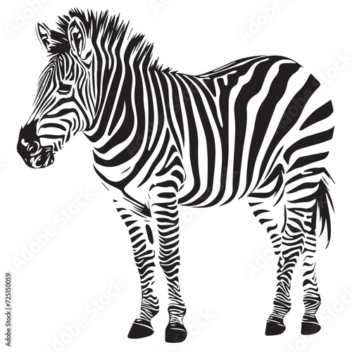 A vector black silhouette zebra on white background.