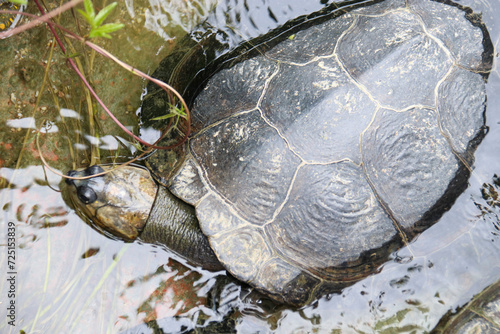 ANIMALES - ZOOLOGICO - NATURALEZA