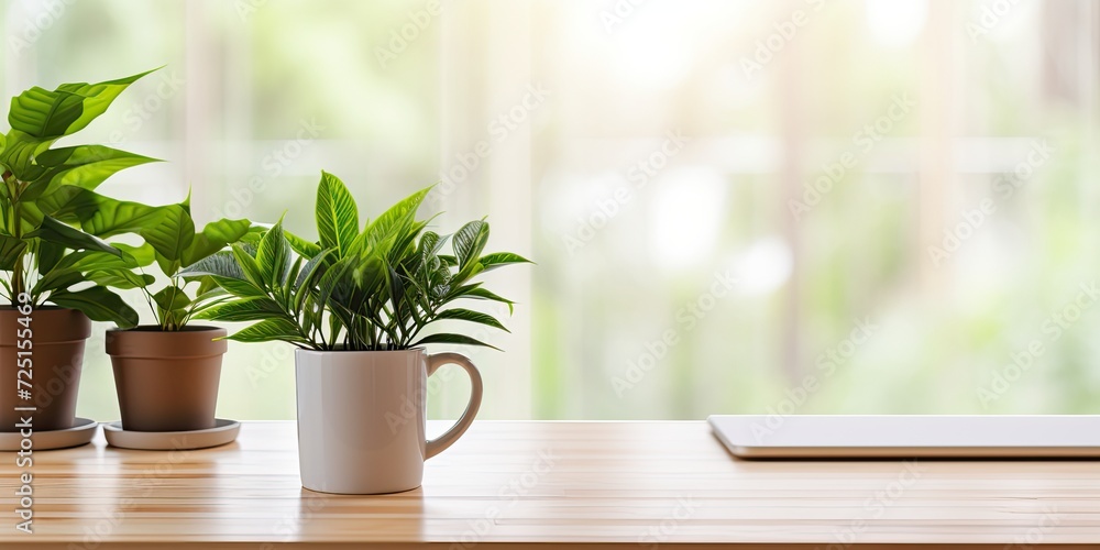 Front view of a wooden desk with a coffee mug and a houseplant, providing space for work and copying. Front view of a wooden desk with a coffee mug and a houseplant, providing space for work and copying.