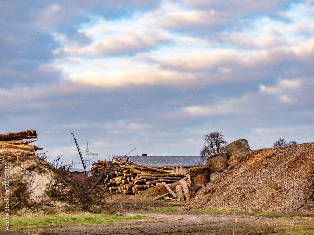 Rindenmulch Herstellung aus Altholz