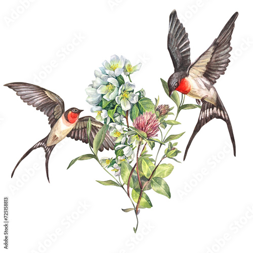 Watercolor flying swallows and apple flower and clover isolated on white background. Hand-drawn spring bird for card or wedding celebration invite. Clipart for sticker or sketchbook. Wallpaper