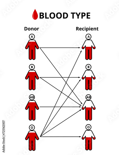vector illustration of blood types, blood donation, blood transfusion,