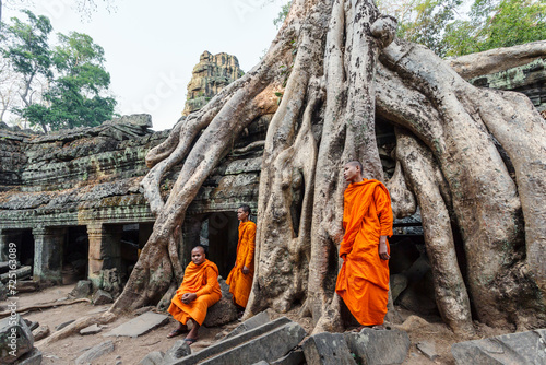 Three buddhist monks near big tree root and old ruin, Ta Prohm temple, Angkor Wat, Cambodia