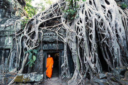 Buddhist monk at famous temple with tree root on old stone ruins, Ta Prohm, Angkor Wat, Cambodia photo