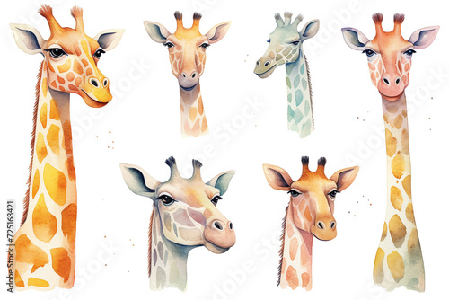 Set Of Watercolor paintings Giraffe on white background. 