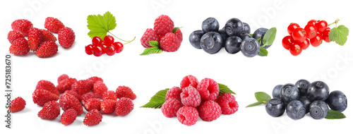 Wild berries isolated on white, collection. Raspberries, bilberries, strawberries, red currants