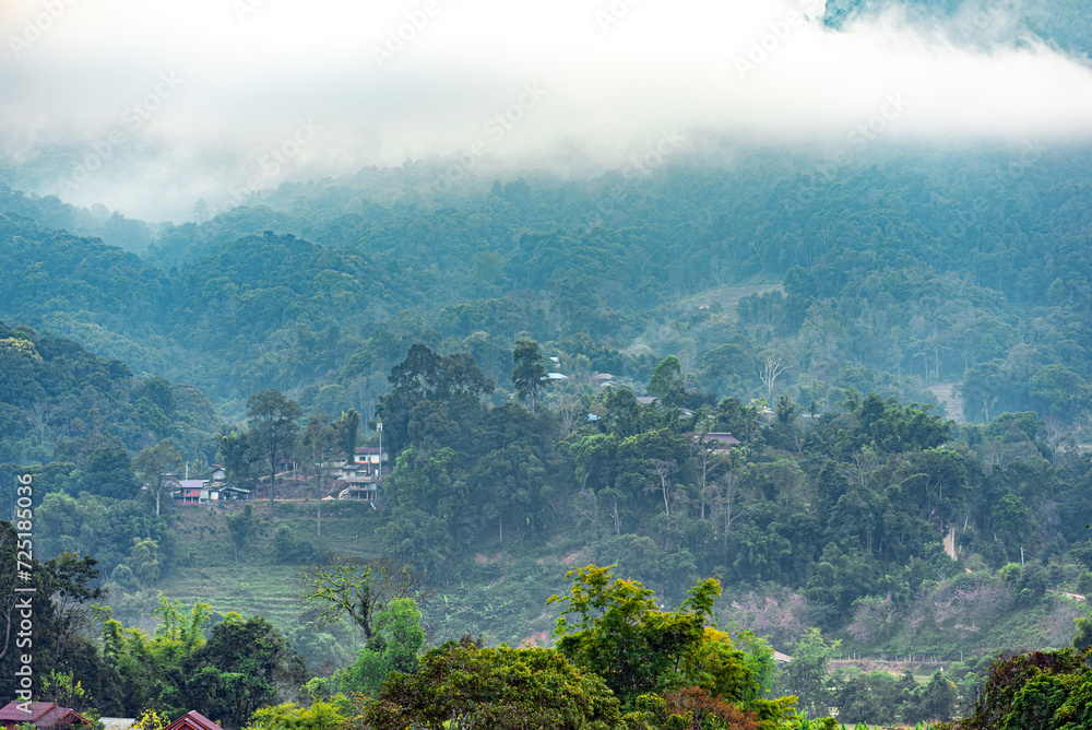 Fototapeta premium Little village in the Doi Inthanon National Park in the Chiang Mai Province in northern Thailand. The morning mist is slowly replaced by the sun, clouds hang in the mountains 