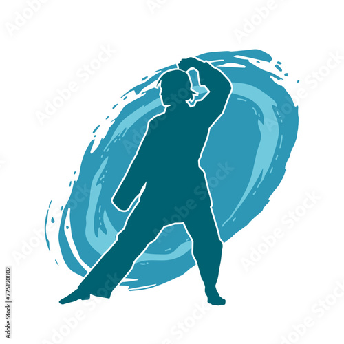 Silhouette of a slim female doing martial art pose. Silhouette of a martial art woman in action pose.
