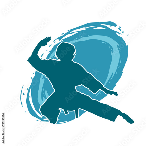 Silhouette of a slim female doing martial art pose. Silhouette of a martial art woman in action pose.
