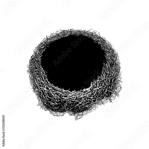 bird nest hand drawing vector isolated on background.