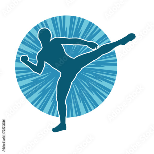 Silhouette of a male doing martial art kick pose. Silhouette of a martial art male doing kicking pose. © anom_t