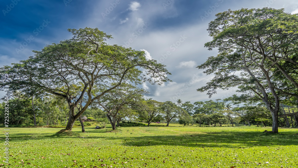 The garden has sprawling deciduous trees in a row. Green grass on a manicured lawn. A gazebo for relaxing in the distance. Clouds in the blue sky. Malaysia. Borneo. Kota Kinabalu. landscape design The garden has sprawling deciduous trees in a row. Green grass on a manicured lawn. A gazebo for relaxing in the distance. Clouds in the blue sky. Malaysia. Borneo. Kota Kinabalu. landscape design