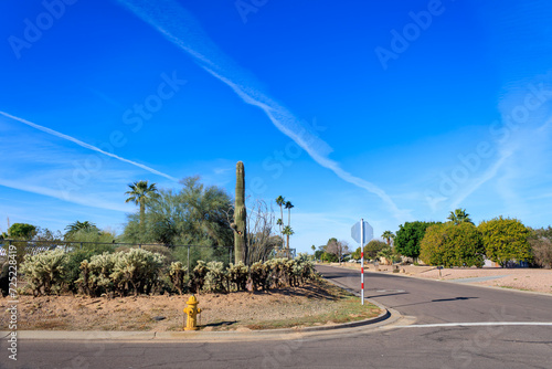 Warm and sunny winter morning in Arizona desert style xeriscaped residential community decorated cacti and other drought tolerant plants 