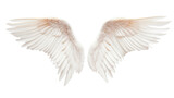 Angel white wings on transparent background