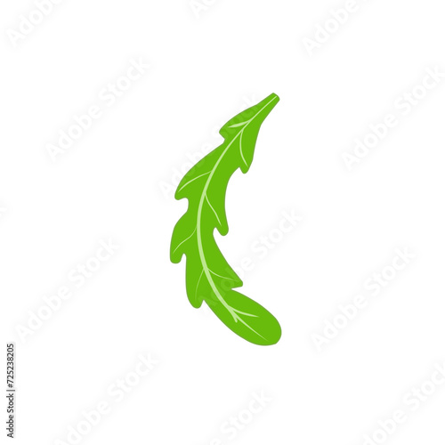 Fresh Arugula Leaves 