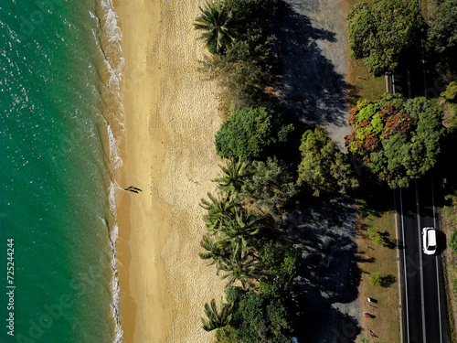 Trees lining a beach