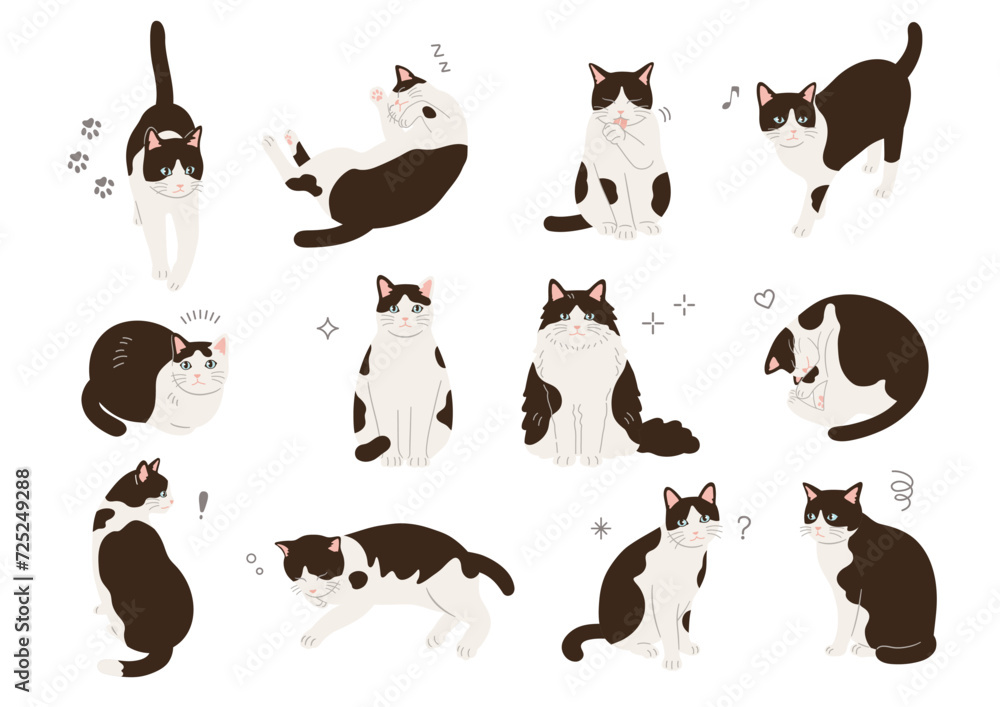 さまざまなポーズの猫のイラスト
