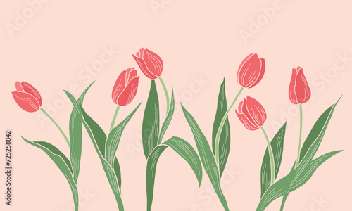 Spring flowers vector illustration. Tulips flowers for Valentine's Day, Birthday, Mother's Day.