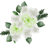 Watercolor Green Flower Bouquets Green Arrangement Illustration