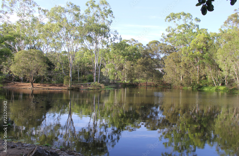 Lake and trees at Reg Tanna Park in Gladstone, Queensland, Australia