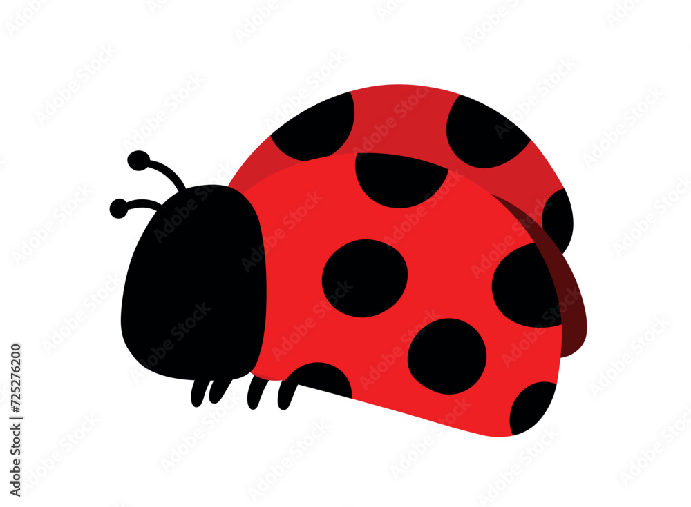 Fototapeta premium Flat Ladybug Insect Animal Hnaddrawn Cartoon Doodle Vector Illustration