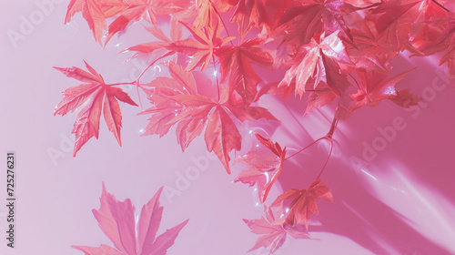  a close up of a bunch of leaves on a pink background with a shadow of leaves on the left side of the frame.