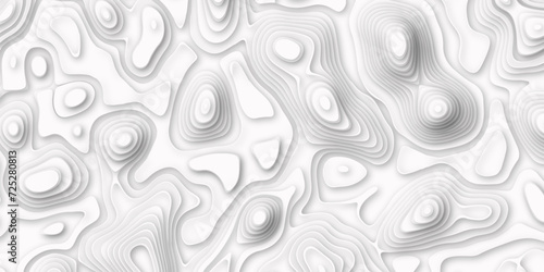 White, grey marble texture with natural pattern for background. Art abstract white fractal pattern 3d rendering. Topographic map in contour line Geography relief.