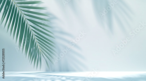 Minimalistic light background with Green Palm Leaves with Light and Shadow Effects. Beautiful background for Minimalist Tropical Plant Composition with White and Blue Tones   © Pippin