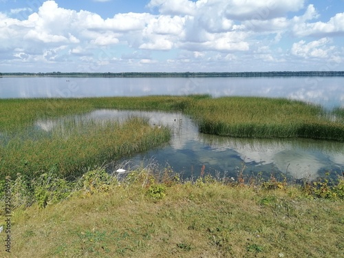 Nature. Lake.