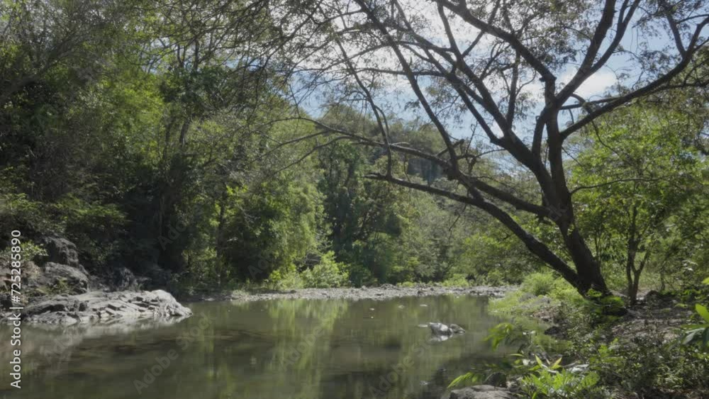 Peaceful landscape of a river current, surrounded by large trees, during a summer day in the department of El Paraíso in southern Honduras. Peaceful landscape of a river current, surrounded by large trees, during a summer day in the department of El Paraíso in southern Honduras.