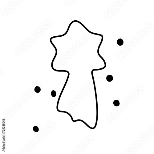 étoile de noël