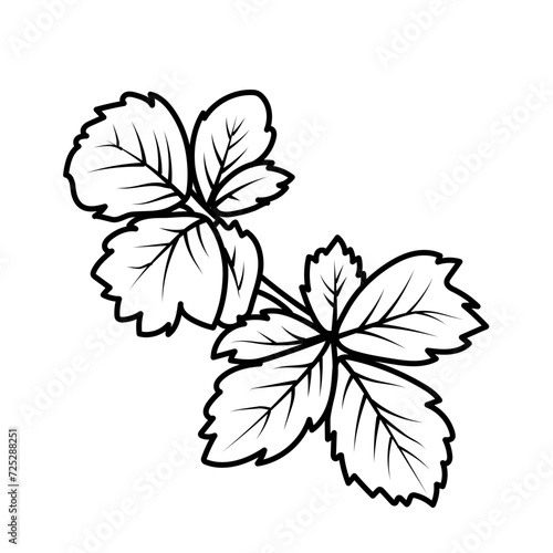 Feuille de fraisier