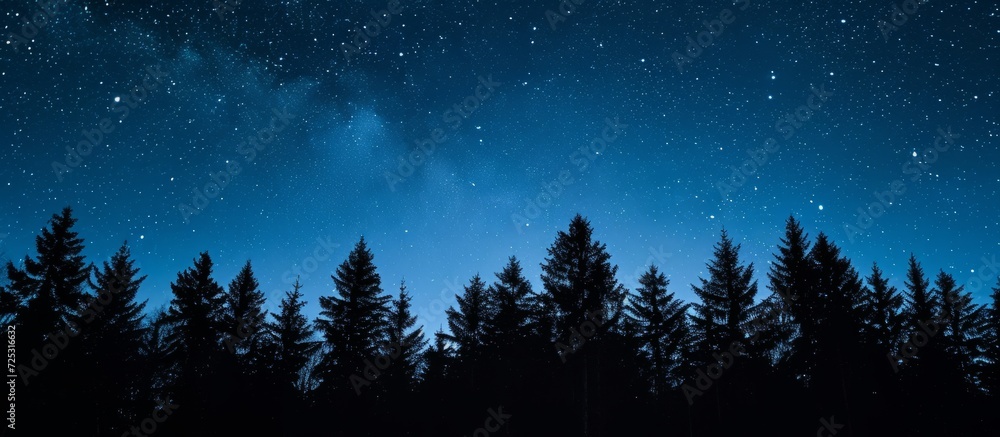 Stars visible in night sky above dark forest Stars visible in night sky above dark forest