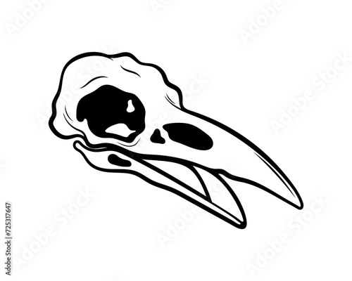 Mystical vector illustration. Crow skull on a white background. Hand drawn bird skull, line sketch. Gothic style. Freehand drawing in Boho style. Witchcraft, magical voodoo attribute for Halloween.