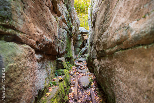 The "Rock Garden" at Worlds End State Park, State park in Pennsylvania