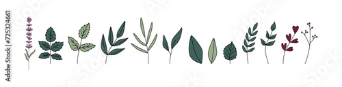 Green leaves and branches, stems. Botanical clipart. Retro vintage style. Boho eco greenery.