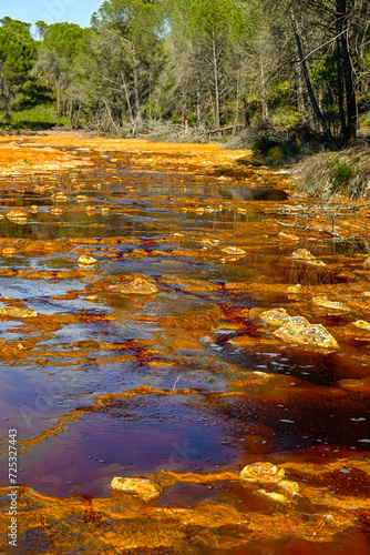 Iron Sulfate Patterns in the Waters of Rio Tinto