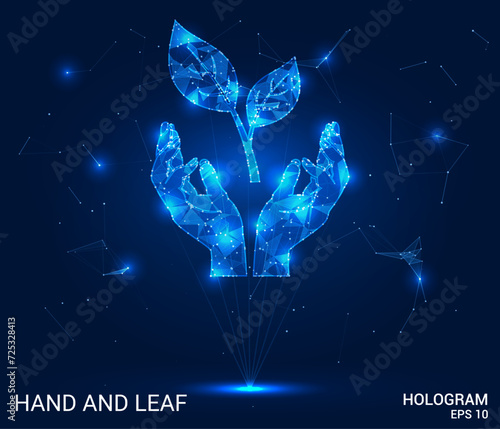 Hologram of leaves in the palms. Leaves in the palms of polygons, triangles of dots and lines. The leaves are a low-poly compound structure. Technology concept vector.