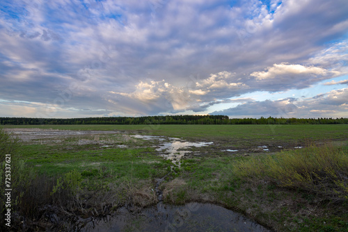 Landscape under the sunset sky  a swampy field  a spring field with puddles after a flood