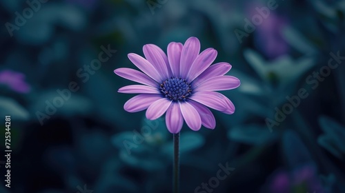Purple flower. Generative AI