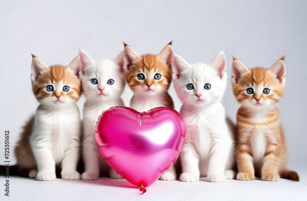 Group of Kitten cats with a pink heart shaped balloon on a blue color background. Banner, copy space for text. Gift for Valentine's Day. Funny Valentines animal, love, wedding. Greeting card, postcard Group of Kitten cats with a pink heart shaped balloon on a blue color background. Banner, copy space for text. Gift for Valentine's Day. Funny Valentines animal, love, wedding. Greeting card, postcard