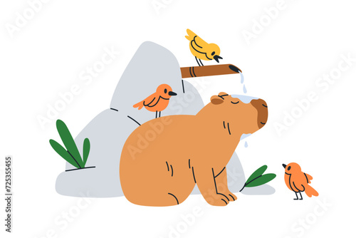 Cute capybara and birds. Funny happy capibara washing under water shower. Ado...
