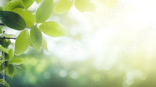 Green leaves background nature abstract for spring and summer season wallpaper, Close up view of nature green leaves on blurred greenery tree background, AI generated