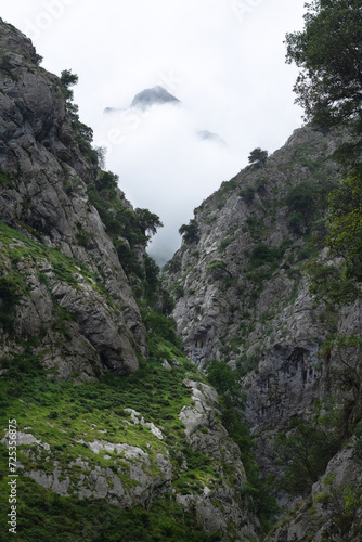 Misty Mountain Peaks Between Rugged Cliffs and Greenery in Picos de Europa National Park photo