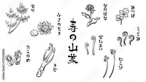 春の山菜の和風ベクターイラスト（白黒）。