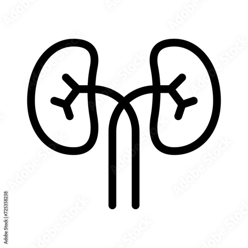 kidneys line icon